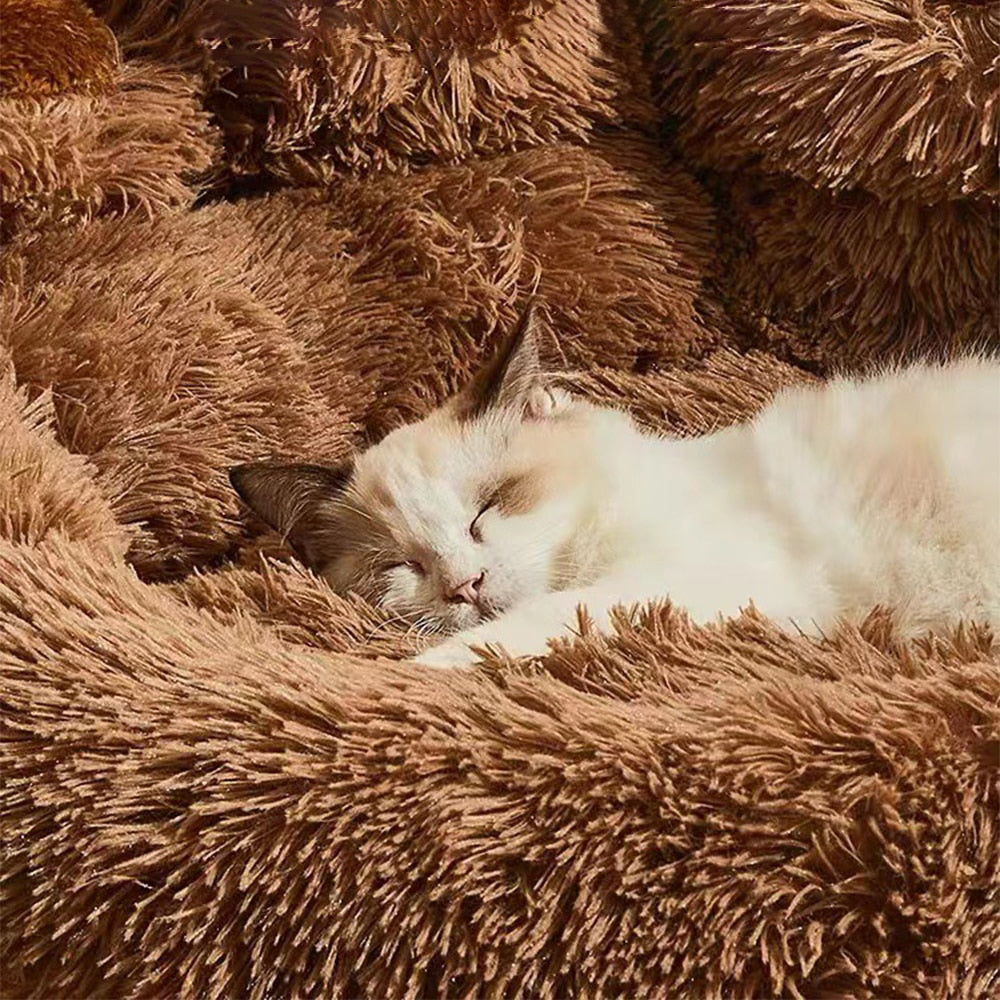TranquilPaw™ Bed