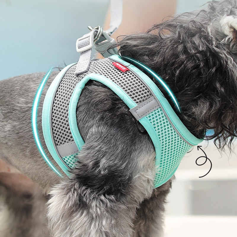 Trendy Dog Harness  Vest