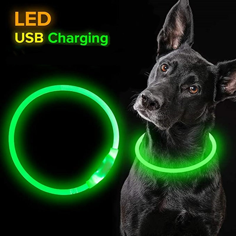 Led Glowing Dog Collar