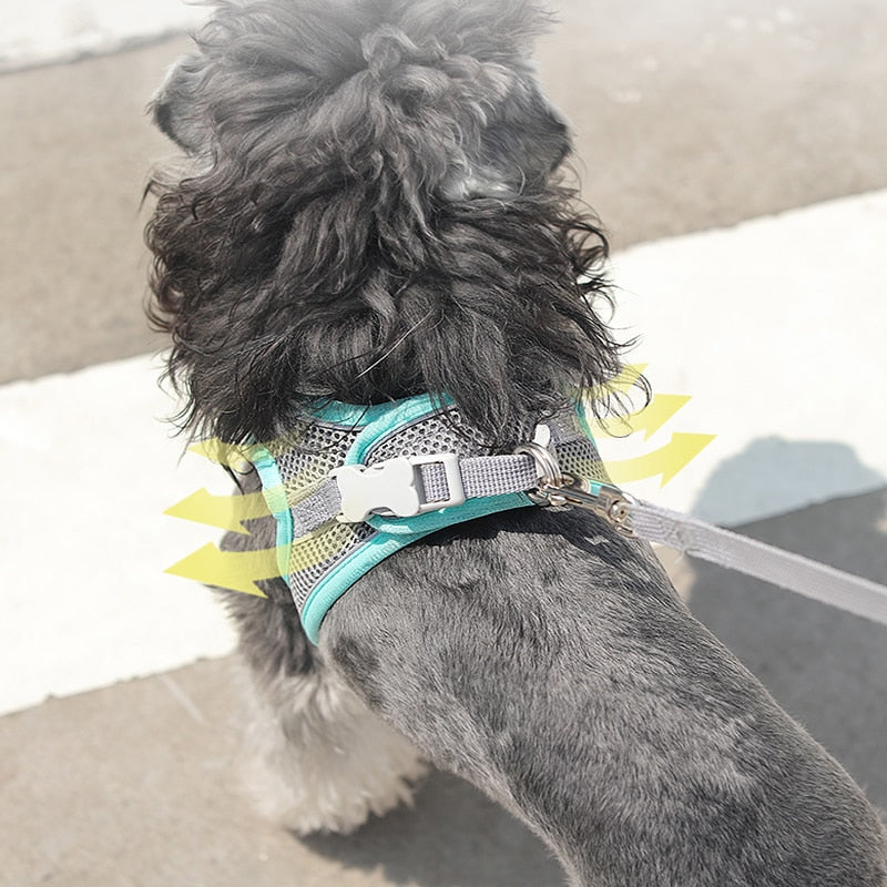 Trendy Dog Harness  Vest