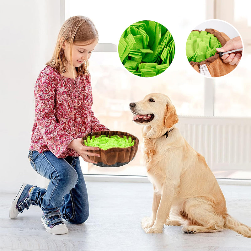 Pet Feeding Training Mat